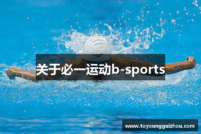 关于必一运动b-sports